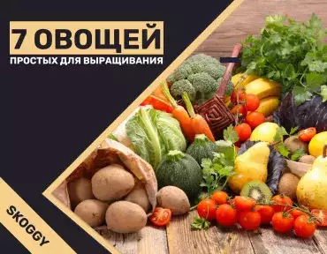 Выращивание огорода