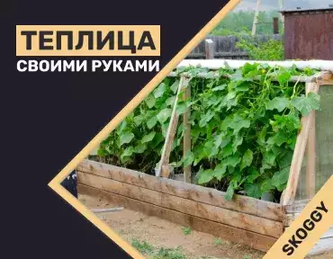 Теплица своими руками