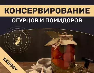 Консервирование огурцов и помидоров: рецепты и правила на зиму